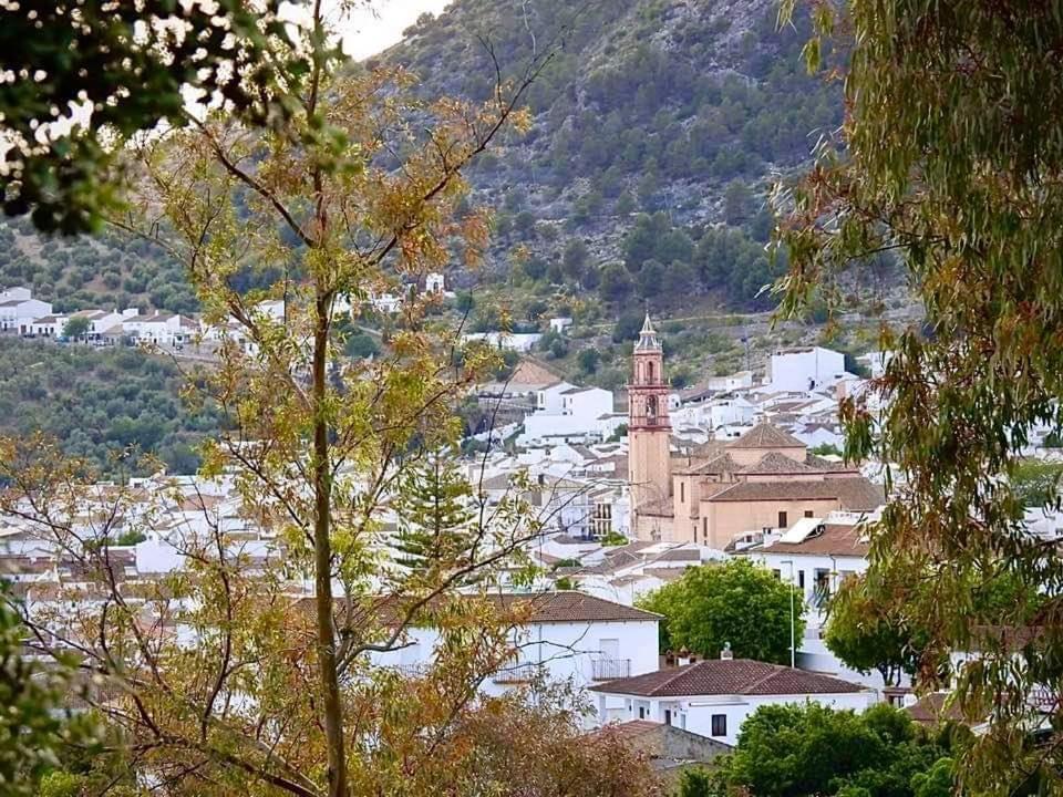 Casa Ana Ferienhaus Algodonales